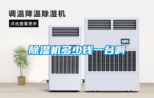 除濕機(jī)多少錢一臺啊