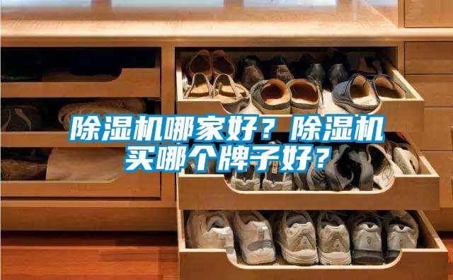 除濕機(jī)哪家好？除濕機(jī)買哪個(gè)牌子好？