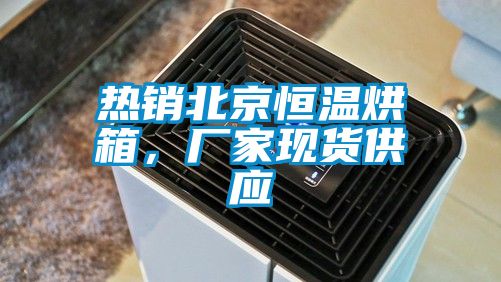熱銷(xiāo)北京恒溫烘箱，廠家現(xiàn)貨供應(yīng)