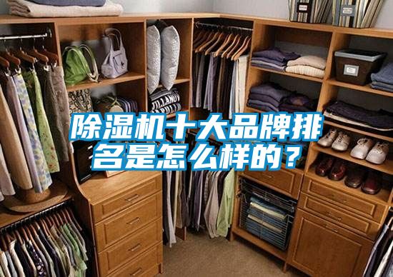 除濕機十大品牌排名是怎么樣的？