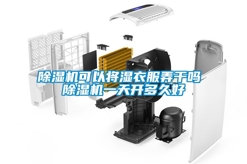 除濕機(jī)可以將濕衣服弄干嗎 除濕機(jī)一天開多久好