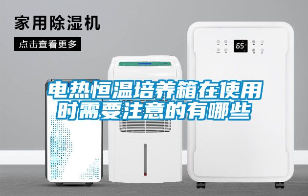 電熱恒溫培養(yǎng)箱在使用時(shí)需要注意的有哪些