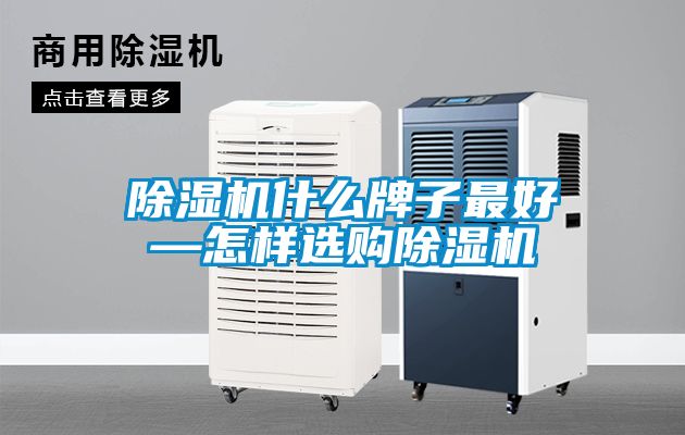 除濕機(jī)什么牌子最好—怎樣選購除濕機(jī)