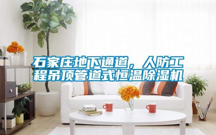石家莊地下通道，人防工程吊頂管道式恒溫除濕機