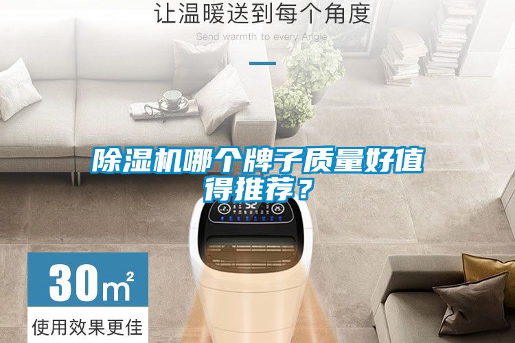 除濕機哪個牌子質(zhì)量好值得推薦？