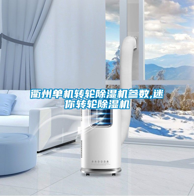 衢州單機轉輪除濕機參數(shù),迷你轉輪除濕機