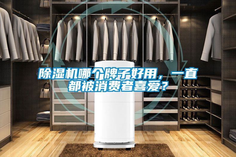除濕機(jī)哪個(gè)牌子好用，一直都被消費(fèi)者喜愛？
