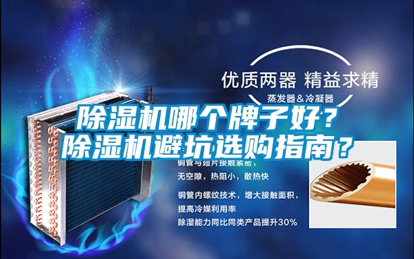 除濕機哪個牌子好？除濕機避坑選購指南？