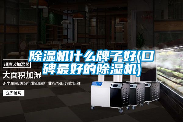 除濕機(jī)什么牌子好(口碑最好的除濕機(jī))