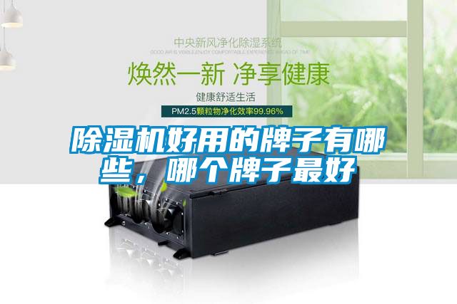 除濕機好用的牌子有哪些，哪個牌子最好