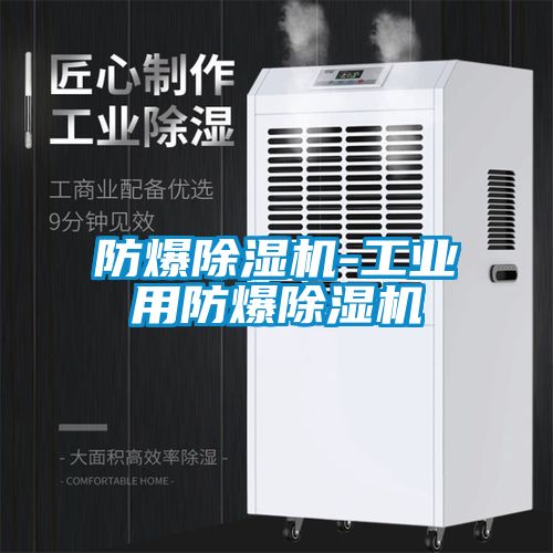 防爆除濕機-工業(yè)用防爆除濕機