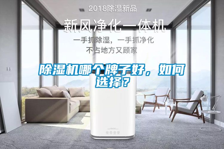 除濕機哪個牌子好，如何選擇？