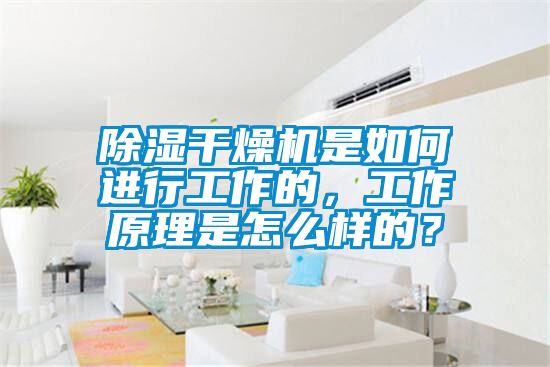 除濕干燥機(jī)是如何進(jìn)行工作的，工作原理是怎么樣的？