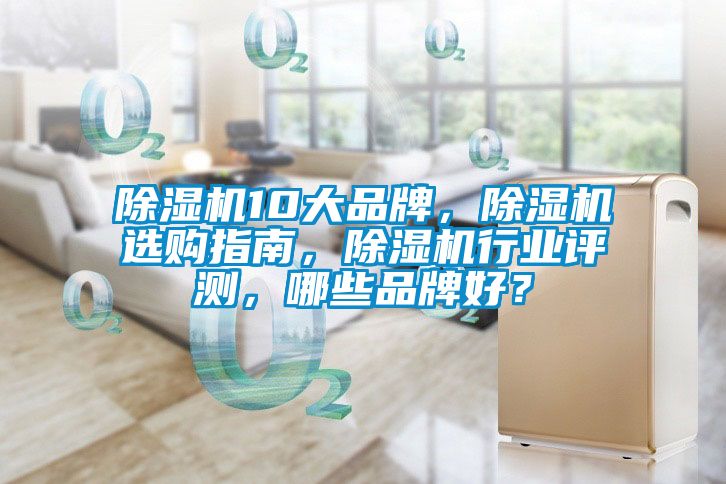 除濕機(jī)10大品牌，除濕機(jī)選購(gòu)指南，除濕機(jī)行業(yè)評(píng)測(cè)，哪些品牌好？