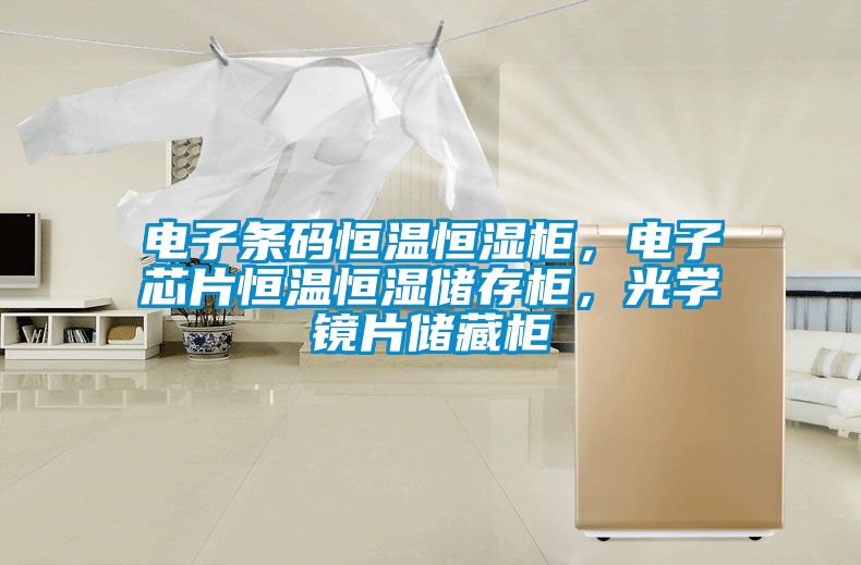 電子條碼恒溫恒濕柜，電子芯片恒溫恒濕儲存柜，光學(xué)鏡片儲藏柜