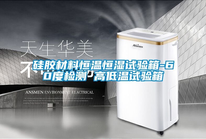 硅膠材料恒溫恒濕試驗(yàn)箱-60度檢測(cè) 高低溫試驗(yàn)箱
