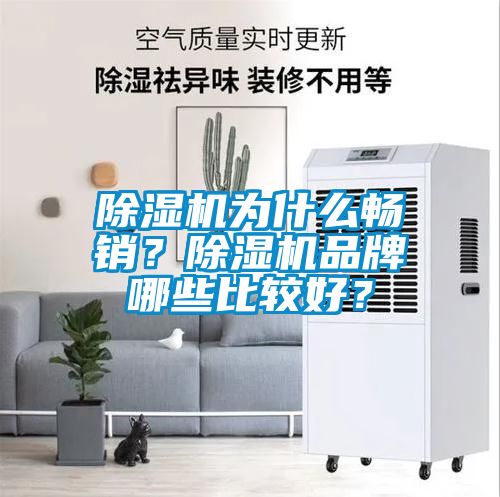 除濕機為什么暢銷？除濕機品牌哪些比較好？