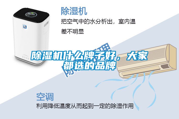 除濕機(jī)什么牌子好，大家都選的品牌