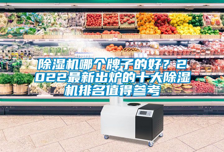 除濕機哪個牌子的好？2022最新出爐的十大除濕機排名值得參考