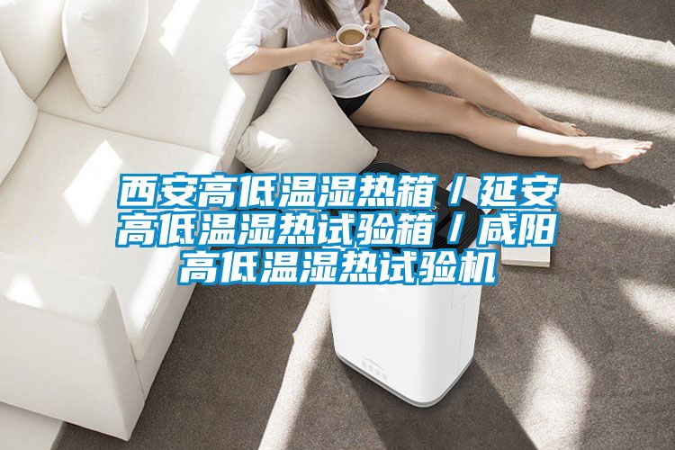 西安高低溫濕熱箱／延安高低溫濕熱試驗(yàn)箱／咸陽高低溫濕熱試驗(yàn)機(jī)