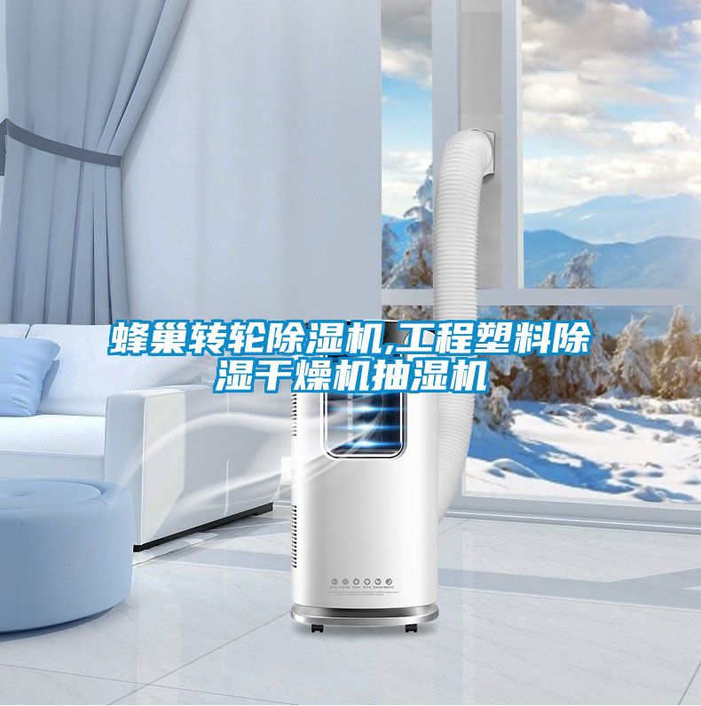蜂巢轉(zhuǎn)輪除濕機(jī),工程塑料除濕干燥機(jī)抽濕機(jī)