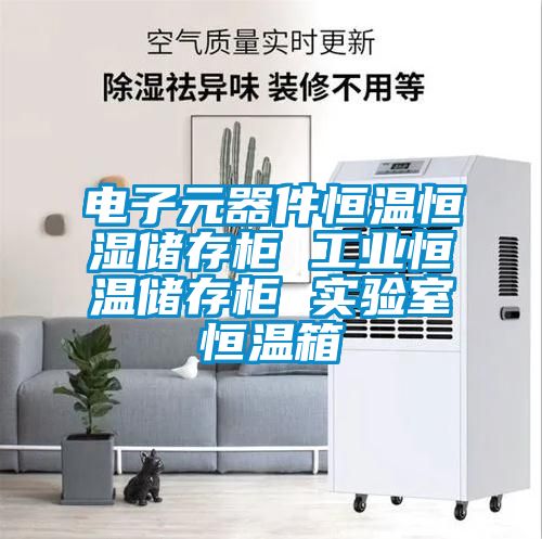電子元器件恒溫恒濕儲(chǔ)存柜 工業(yè)恒溫儲(chǔ)存柜 實(shí)驗(yàn)室恒溫箱