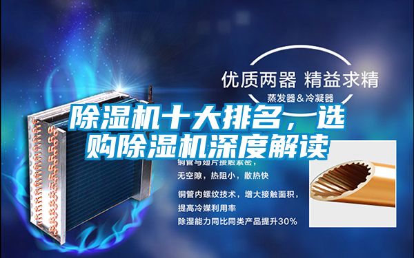 除濕機(jī)十大排名，選購除濕機(jī)深度解讀
