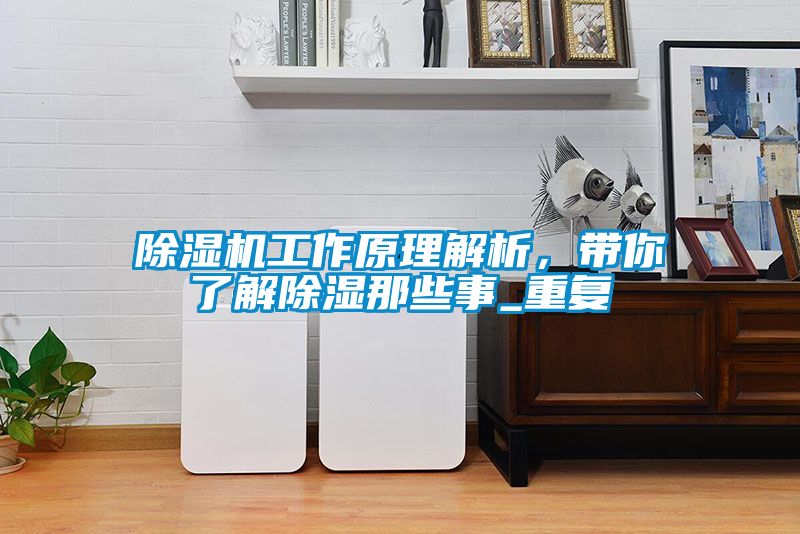 除濕機工作原理解析，帶你了解除濕那些事_重復