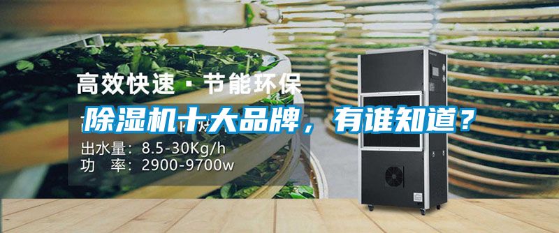 除濕機十大品牌，有誰知道？