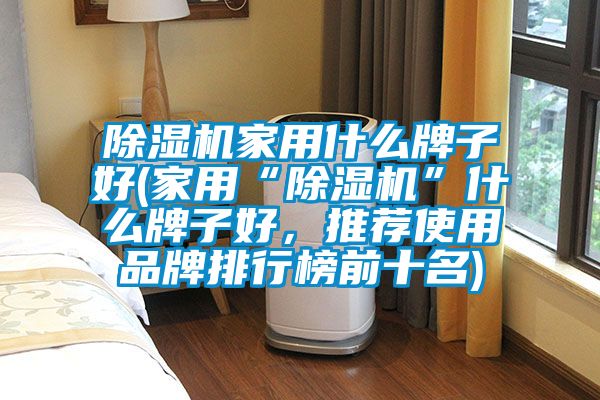 除濕機(jī)家用什么牌子好(家用“除濕機(jī)”什么牌子好，推薦使用品牌排行榜前十名)