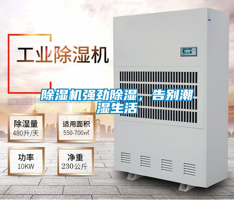 除濕機(jī)強(qiáng)勁除濕，告別潮濕生活