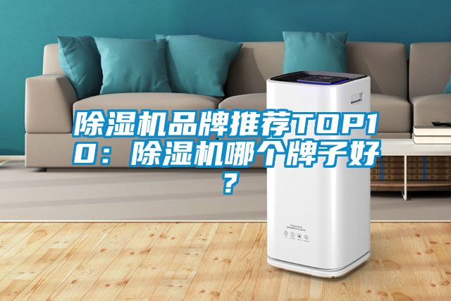 除濕機(jī)品牌推薦TOP10：除濕機(jī)哪個(gè)牌子好？