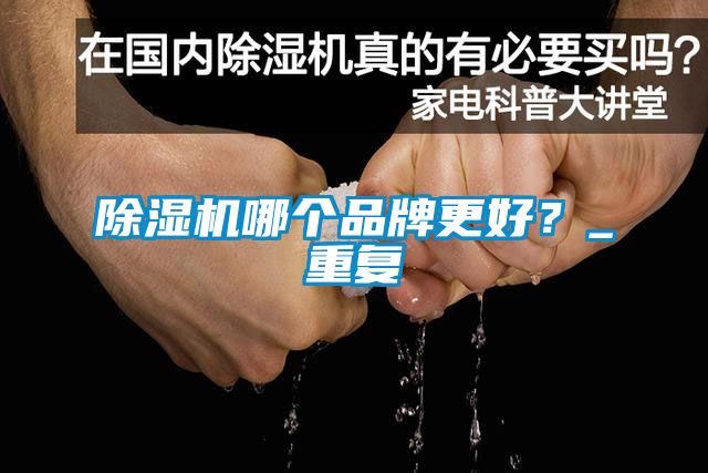 除濕機哪個品牌更好？_重復