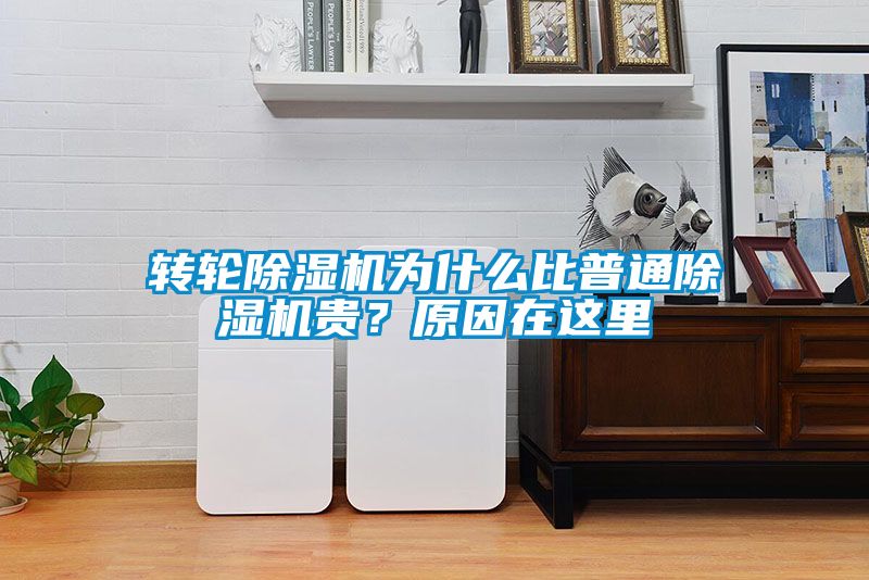 轉(zhuǎn)輪除濕機為什么比普通除濕機貴？原因在這里