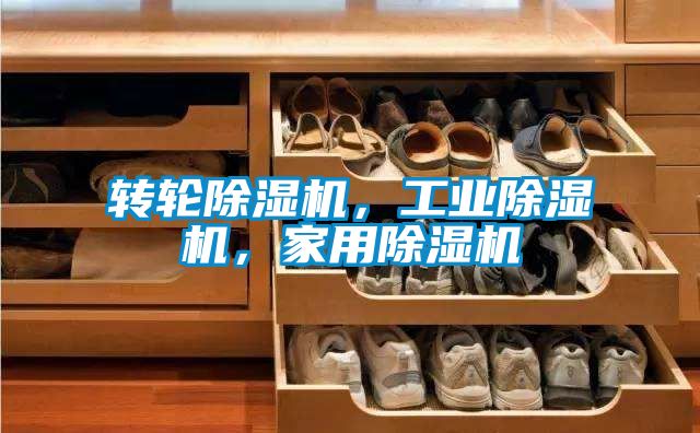 轉(zhuǎn)輪除濕機，工業(yè)除濕機，家用除濕機