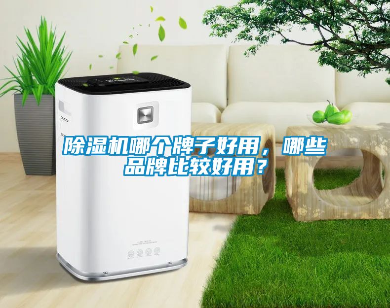 除濕機(jī)哪個(gè)牌子好用，哪些品牌比較好用？
