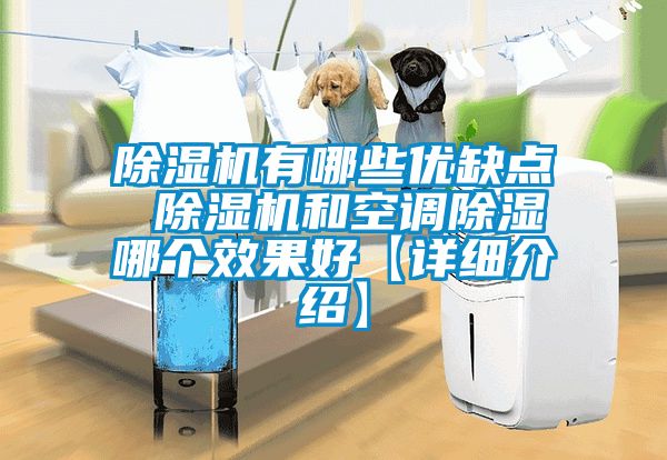 除濕機有哪些優(yōu)缺點 除濕機和空調(diào)除濕哪個效果好【詳細介紹】
