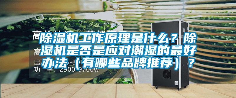 除濕機(jī)工作原理是什么？除濕機(jī)是否是應(yīng)對(duì)潮濕的最好辦法（有哪些品牌推薦）？