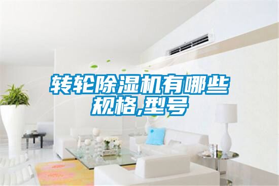 轉(zhuǎn)輪除濕機(jī)有哪些規(guī)格,型號(hào)