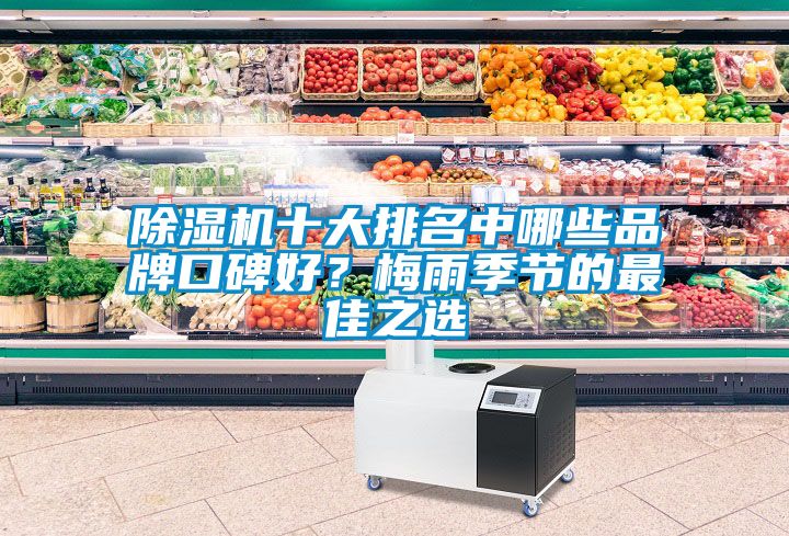 除濕機(jī)十大排名中哪些品牌口碑好？梅雨季節(jié)的最佳之選