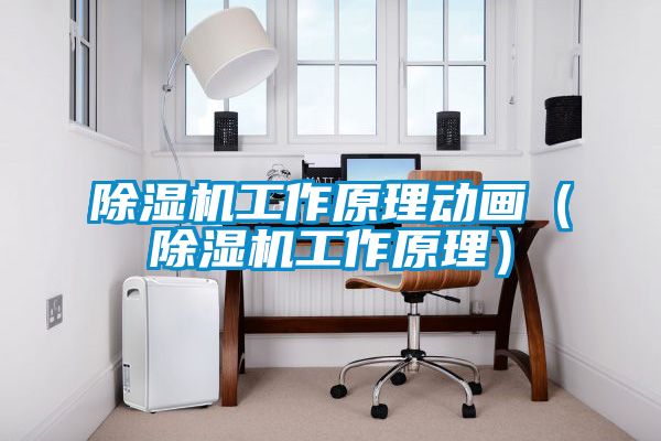 除濕機(jī)工作原理動(dòng)畫（除濕機(jī)工作原理）