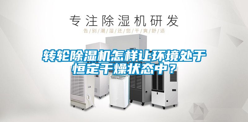 轉(zhuǎn)輪除濕機怎樣讓環(huán)境處于恒定干燥狀態(tài)中？