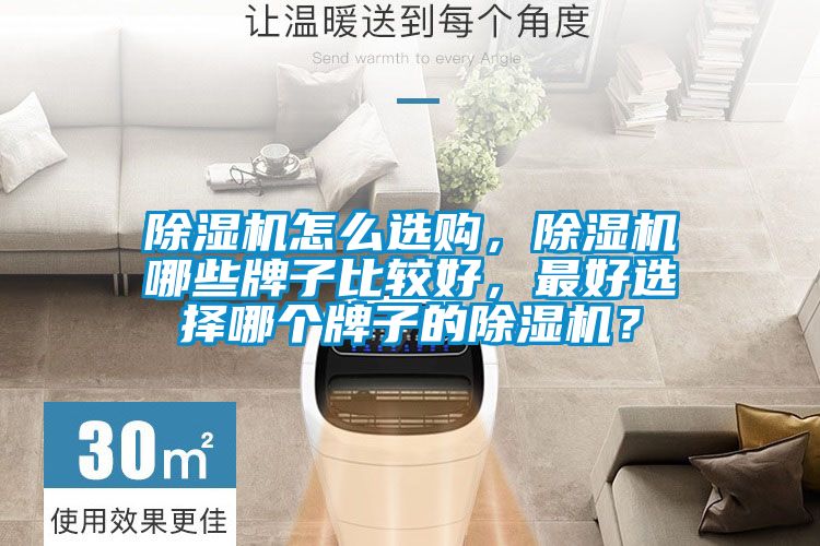 除濕機怎么選購，除濕機哪些牌子比較好，最好選擇哪個牌子的除濕機？