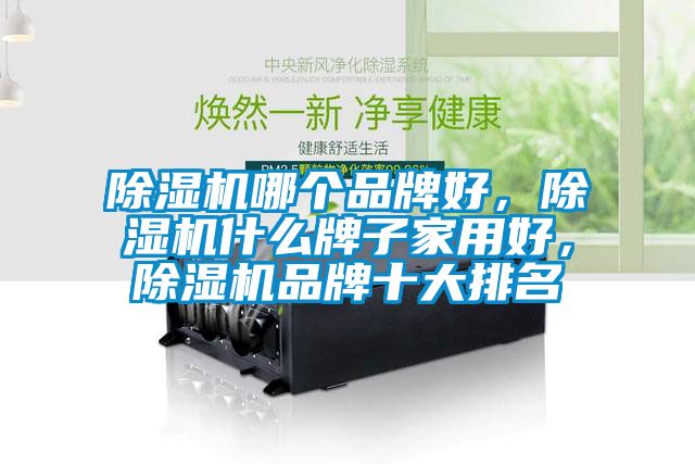 除濕機(jī)哪個品牌好，除濕機(jī)什么牌子家用好，除濕機(jī)品牌十大排名