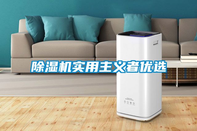 除濕機實用主義者優(yōu)選