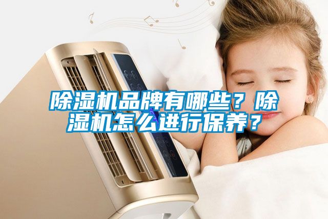 除濕機(jī)品牌有哪些？除濕機(jī)怎么進(jìn)行保養(yǎng)？