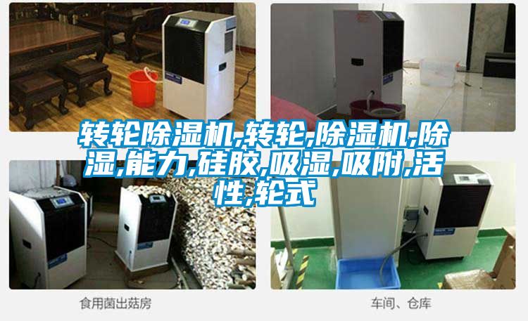 轉(zhuǎn)輪除濕機(jī),轉(zhuǎn)輪,除濕機(jī),除濕,能力,硅膠,吸濕,吸附,活性,輪式