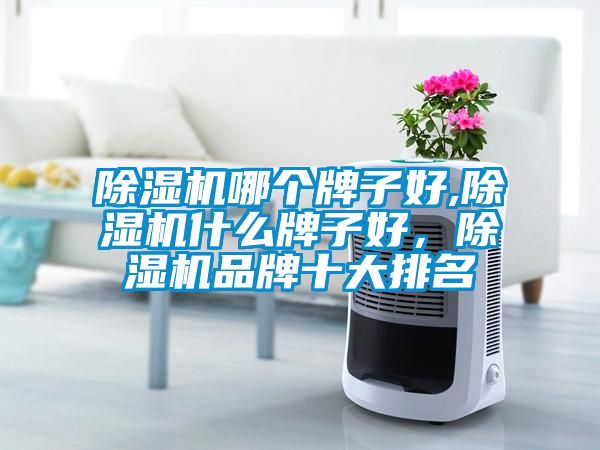 除濕機(jī)哪個(gè)牌子好,除濕機(jī)什么牌子好，除濕機(jī)品牌十大排名