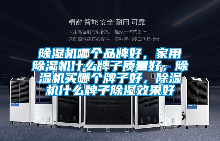除濕機(jī)哪個品牌好，家用除濕機(jī)什么牌子質(zhì)量好，除濕機(jī)買哪個牌子好，除濕機(jī)什么牌子除濕效果好