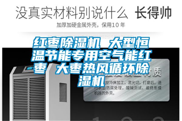 紅棗除濕機(jī) 大型恒溫節(jié)能專(zhuān)用空氣能紅棗 大棗熱風(fēng)循環(huán)除濕機(jī)